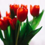 说好的为人师表呢1v1 p9e6r5jwsk